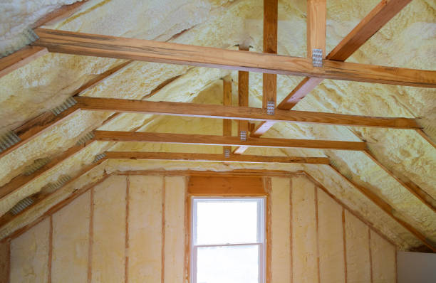 Best Blown-in Insulation  in Blackwater, AZ