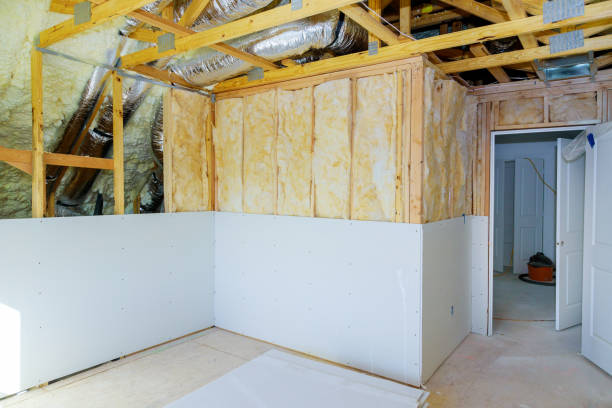 Best Cellulose Insulation  in Blackwater, AZ