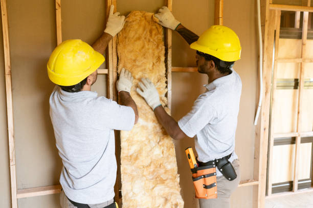 Best Cellulose Insulation  in Blackwater, AZ