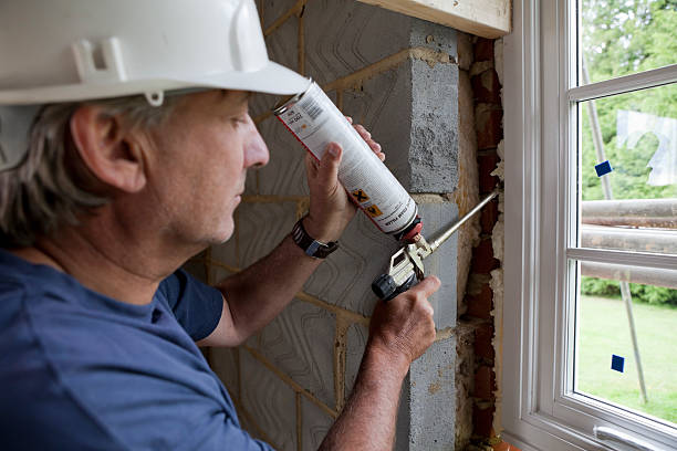 Best Home Insulation Services  in Blackwater, AZ