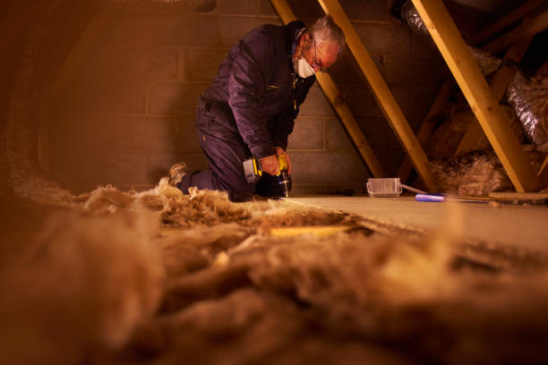 Best Insulation Contractors for Homes  in Blackwater, AZ